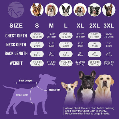 2 Pack Dog Sweatshirts Fleece Jacket with Reflective Stripe Pullover Stretchy Dog Sweater Soft Pet Clothes Lightweight Dog Sweaters for Small Dogs Turquoise & Grey