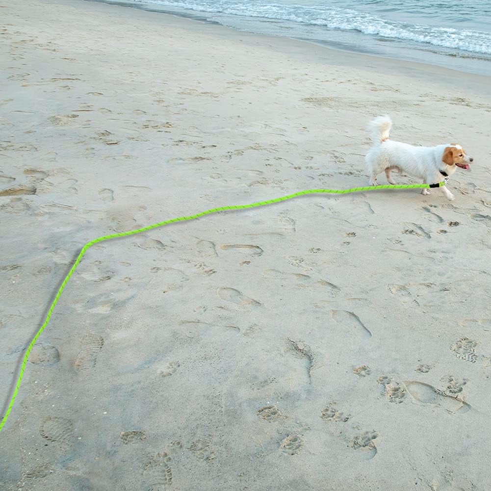 Floating Long Dog Leash, 32Ft Dog Training Leash for Swimming and Lake, Reflective Long Rope Lead with Soft Handle for Outside, Yard, Camping, Hiking and Beach (Green)
